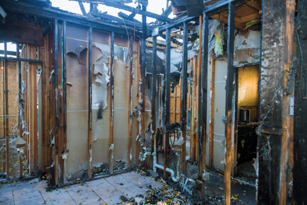 Professional Fire Damage Assessment technician working in Lynnville, IN